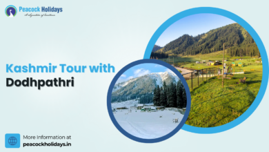 Kashmir Tour with Dodhpathri