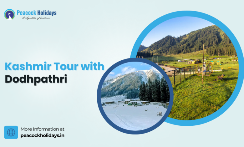 Kashmir Tour with Dodhpathri