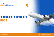 Flight Ticket Price