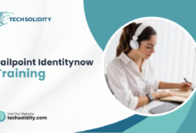 Sailpoint Identitynow Training