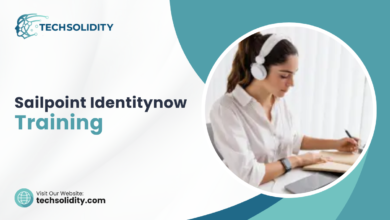 Sailpoint Identitynow Training