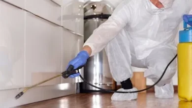 pest control services in Jaipur