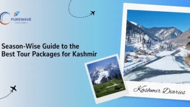 Best Tour Packages for Kashmir