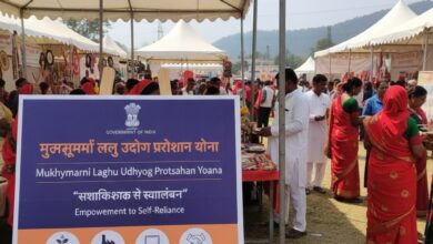 Mukhyamantri Laghu Udhyog Protsahan Yojana