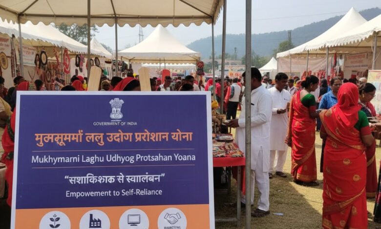 Mukhyamantri Laghu Udhyog Protsahan Yojana