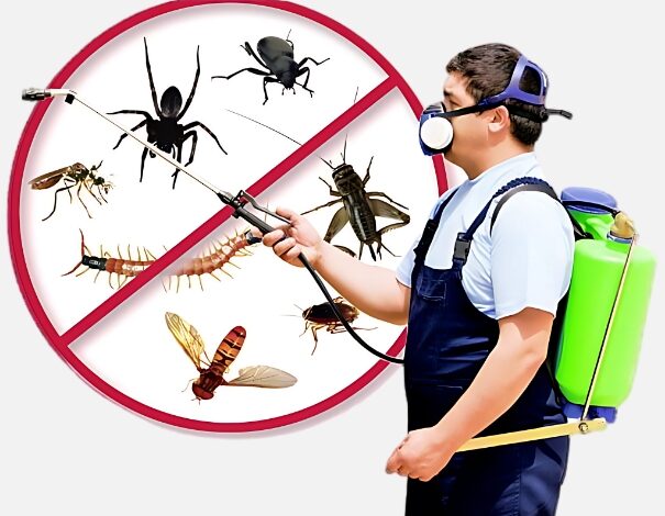 Pest Control Jaipur