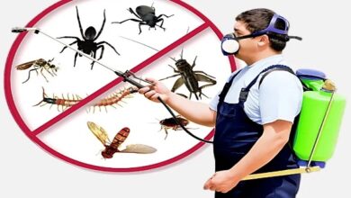 Industrial Pest Control Service in Jaipur