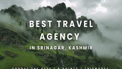 Top 10 Travel Agents in Kashmir
