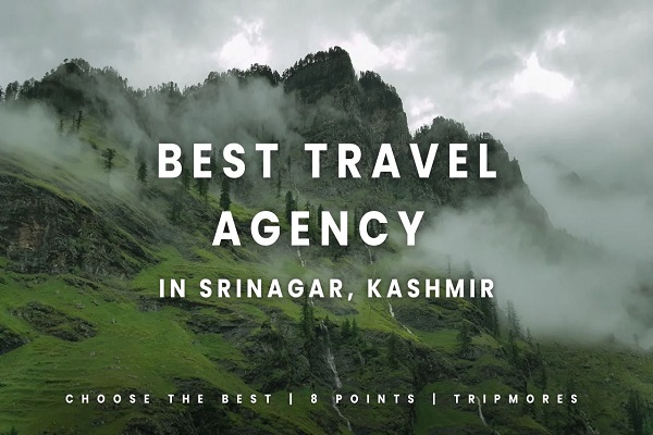 Top 10 Travel Agents in Kashmir