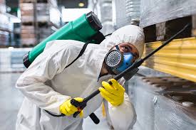 Pest Control Services in Jaipur