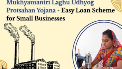 Mukhyamantri Laghu Udhyog Protsahan Yojana