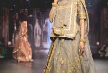 Rajputi Dress for Women