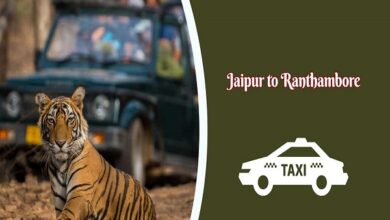 Jaipur to Ranthambore Cab