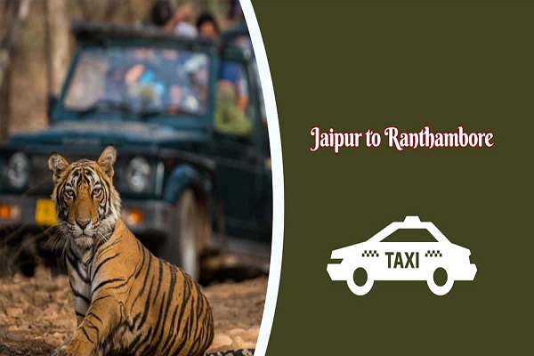 Jaipur to Ranthambore Cab