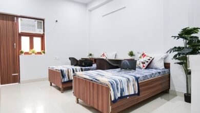 Best Pg near Amity University Noida