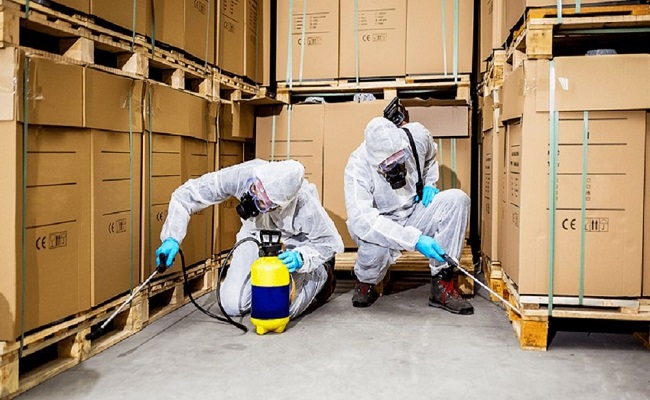 Pest Control for Office Buildings in Jaipur
