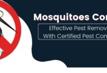 Best Mosquito Control​ Services in Jaipur