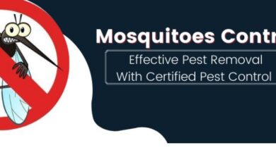 Best Mosquito Control​ Services in Jaipur
