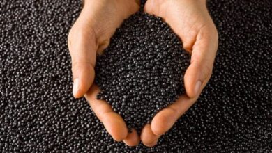 Black Masterbatch Manufacturers In Gujarat