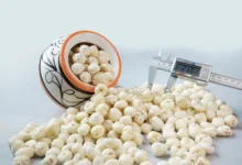 GI tagged makhana supplier