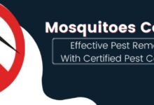 Mosquito Pest Control in Jaipur