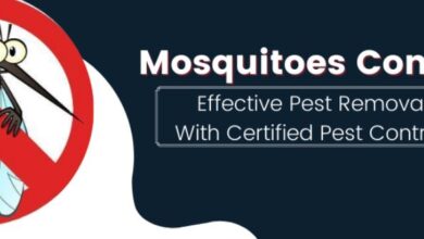 Mosquito Pest Control in Jaipur