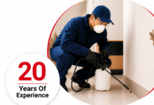 Lizard Control Chennai