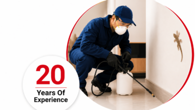 Lizard Control Chennai