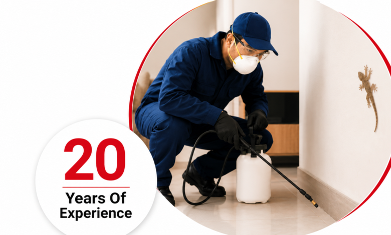 Lizard Control Chennai