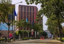 Lpu Online Mba​