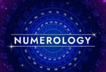 Numerology Services Kanpur