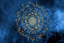 Online Bhrigu Nandi Vastu Consultation