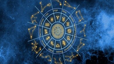 Online Bhrigu Nandi Vastu Consultation