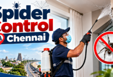 Spider Control Chennai