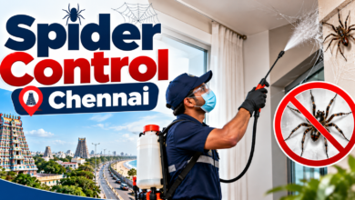 Spider Control Chennai