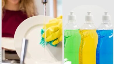 Dishwash Fragrance Exporter
