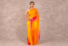 Rajputi Chiffon Saree