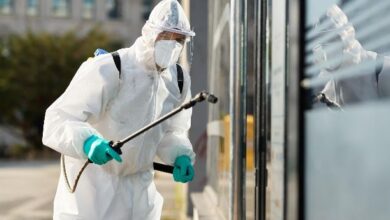 Pest Control Treatment for Buildings in Jaipur