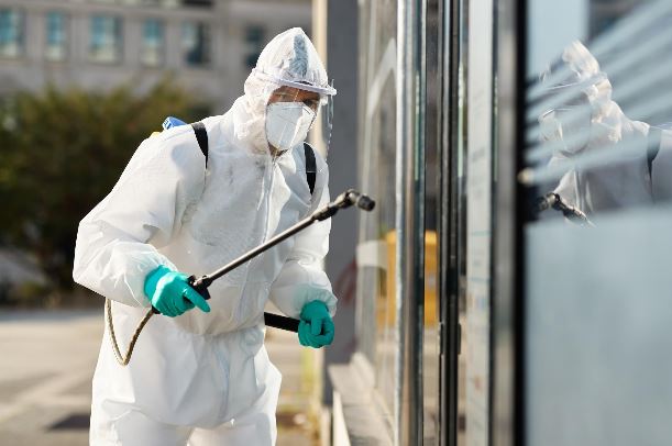 Pest Control Treatment for Buildings in Jaipur