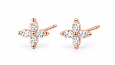 Silver Ear Studs for Women