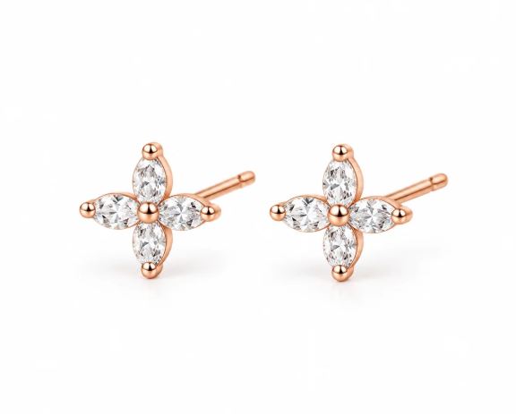 Silver Ear Studs for Women