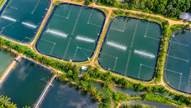Aquaculture Pond Liner