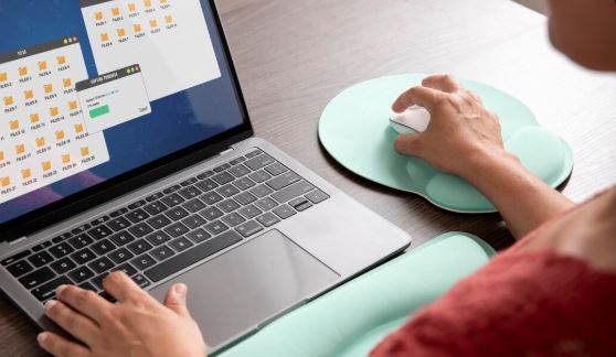 pdf numbering online