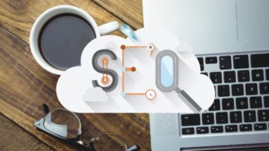 seo company in fort collins